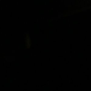 Meet your Posher, Ebony